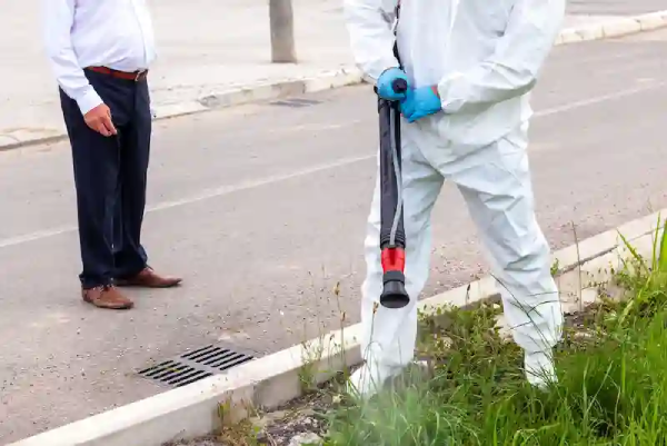إبادة حشرات التجمع الثالث مدينة نصر 3خطوات مذهلة لإبادة حشرات